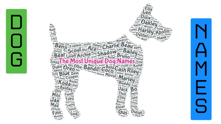 Unique Dog Names: Finding the Perfect Fit for Your Canine Companion