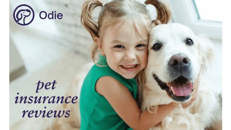 odie pet insurance reviews