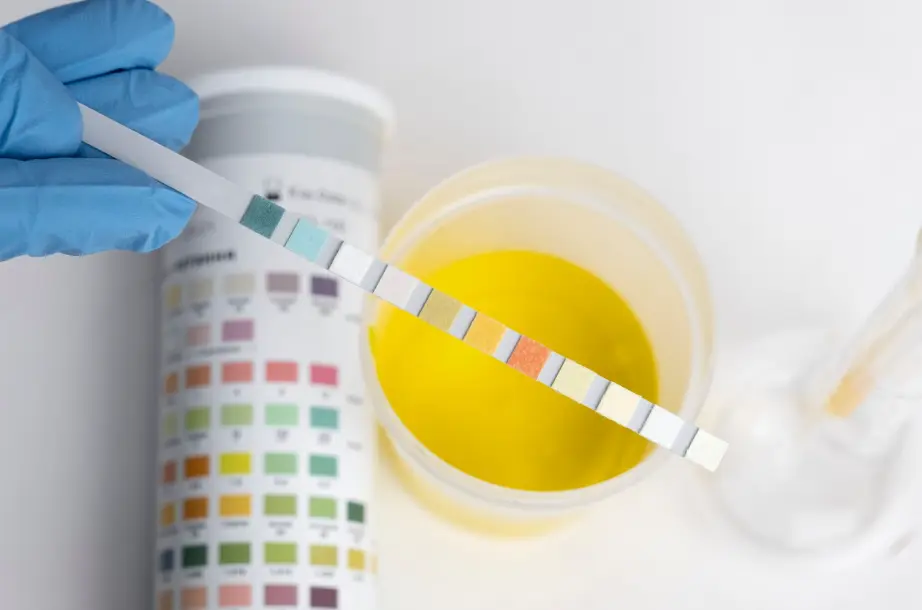 testing pH in a saltwater aquarium with test kit